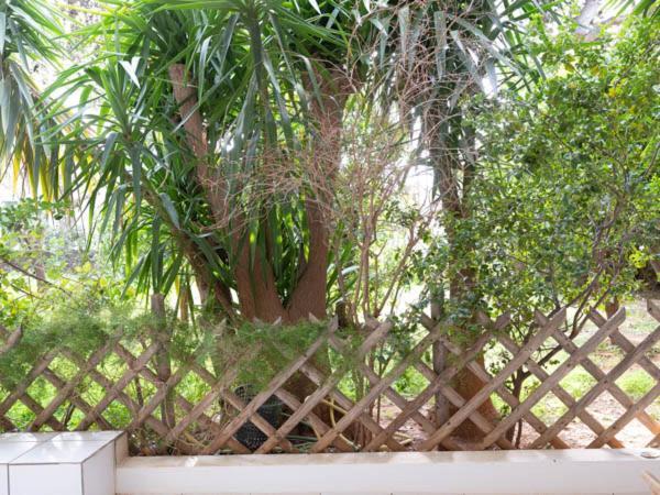 Ferienwohnung Vouliagmeni'S Secret Garden Near The Sea Athen Exterior foto